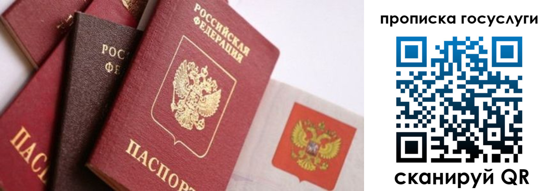 прописка законно в Хадыженске